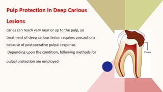 Pulp Protection Graphics pulp.pdf