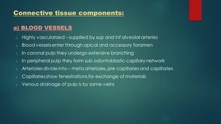Connective tissue components:
a) BLOOD VESSELS
o Highly vascularized – supplied by sup and inf alveolararteries
o Blood vesselsenter through apical and accessory foramen
o In coronal pulp they undergo extensive branching
o In peripheral pulp they form sub odontoblastic capillary network
o Arterioles divide into – meta arterioles, pre capillaries and capillaries
o Capillariesshow fenestrations for exchange of materials
o Venous drainage of pulp is by same veins
 