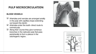 Development Of Pulp Development and pathogenesis of pulp complex | PPTX