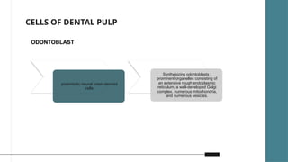 Development Of Pulp Development and pathogenesis of pulp complex | PPTX