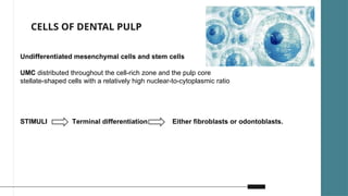 Development Of Pulp Development and pathogenesis of pulp complex | PPTX