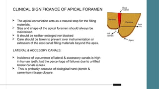Development and pathogenesis of pulp complex | PPTX