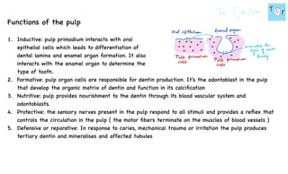 Comprehensive Overview of Dental Pulp Anatomy, Cells, and Functions | PDF