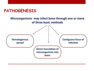 pulp-and-periapical-lesions-of-the-tooth-ppt.pdf