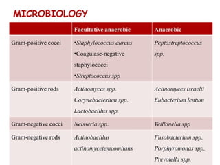pulp-and-periapical-lesions-of-the-tooth-ppt.pdf