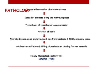 pulp-and-periapical-lesions-of-the-tooth-ppt.pdf