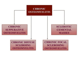 pulp-and-periapical-lesions-of-the-tooth-ppt.pdf