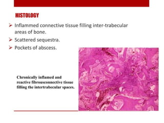 pulp-and-periapical-lesions-of-the-tooth-ppt.pdf