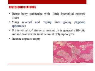pulp-and-periapical-lesions-of-the-tooth-ppt.pdf
