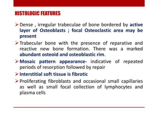 pulp-and-periapical-lesions-of-the-tooth-ppt.pdf