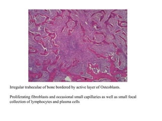pulp-and-periapical-lesions-of-the-tooth-ppt.pdf