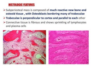 pulp-and-periapical-lesions-of-the-tooth-ppt.pdf