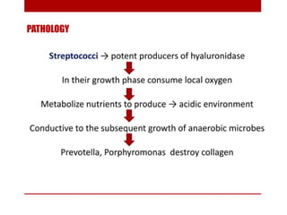 pulp-and-periapical-lesions-of-the-tooth-ppt.pdf