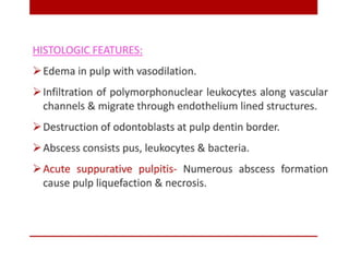 pulp-and-periapical-lesions-of-the-tooth-ppt.pdf