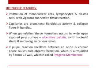 pulp-and-periapical-lesions-of-the-tooth-ppt.pdf