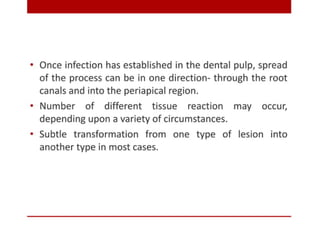 pulp-and-periapical-lesions-of-the-tooth-ppt.pdf