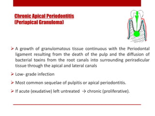 pulp-and-periapical-lesions-of-the-tooth-ppt.pdf