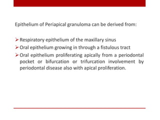 pulp-and-periapical-lesions-of-the-tooth-ppt.pdf