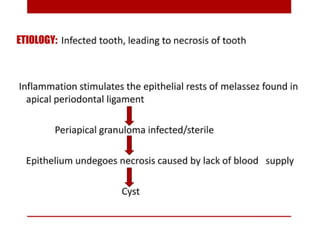pulp-and-periapical-lesions-of-the-tooth-ppt.pdf