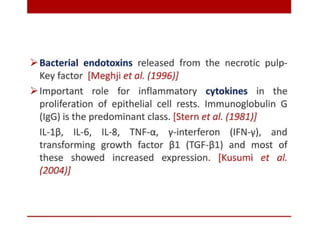pulp-and-periapical-lesions-of-the-tooth-ppt.pdf