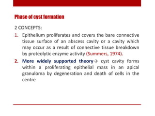 pulp-and-periapical-lesions-of-the-tooth-ppt.pdf