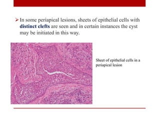 pulp-and-periapical-lesions-of-the-tooth-ppt.pdf