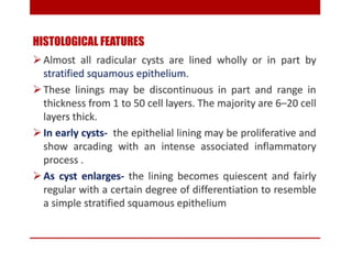 pulp-and-periapical-lesions-of-the-tooth-ppt.pdf