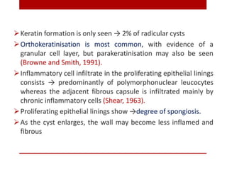 pulp-and-periapical-lesions-of-the-tooth-ppt.pdf