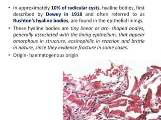 pulp-and-periapical-lesions-of-the-tooth-ppt.pdf