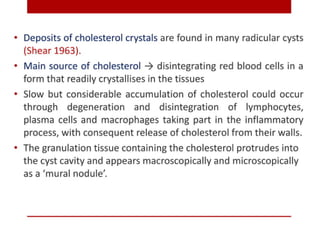 pulp-and-periapical-lesions-of-the-tooth-ppt.pdf