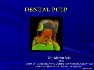 DENTAL PULP
11
Dr. Madhu Billa
I MDS
DEPT OF CONSERVATIVE DENTISTRY AND ENDODONTICS
SIBAR INSTITUTE OF DENTAL SCIENCES
Dr.MadhuBillaDr.MadhuBilla
 