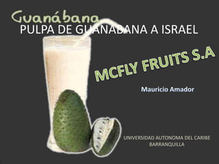 PULPA DE GUANABANA A ISRAEL MCFLY FRUITS S.A Mauricio Amador UNIVERSIDAD AUTONOMA DEL CARIBE BARRANQUILLA 