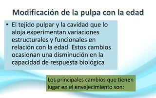 • El tejido pulpar y la cavidad que lo
aloja experimentan variaciones
estructurales y funcionales en
relación con la edad. Estos cambios
ocasionan una disminución en la
capacidad de respuesta biológica
Los principales cambios que tienen
lugar en el envejecimiento son:
 