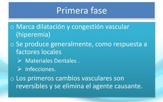Primera fase
o Marca dilatación y congestión vascular
(hiperemia)
o Se produce generalmente, como respuesta a
factores locales
 Materiales Dentales .
 Infecciones.
o Los primeros cambios vasculares son
reversibles y se elimina el agente causante.
 