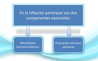 En la inflación participan sus dos
componentes esenciales:
Mecanismo
microcirculatorio.
El proceso nervioso
sensorial
 