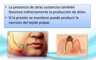 • La presencia de otras sustancias también
favorece indirectamente la producción de dolor.
• Si la presión se mantiene puede producir la
necrosis del tejido pulpar.
 
