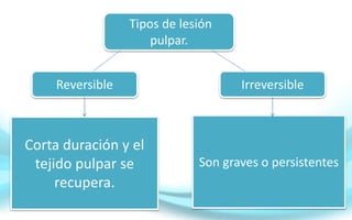 Tipos de lesión
pulpar.
Reversible Irreversible
Corta duración y el
tejido pulpar se
recupera.
Son graves o persistentes
 