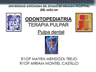 UNIVERSIDAD AUTONOMA DEL ESTADO DE HIDALGO HOSPITAL
                   DEL NIÑO DIF


          ODONTOPEDIATRIA
           TERAPIA PULPAR
              Pulpa dental




       R1OP MAYRA MENDOZA TREJO
      R1OP MIRIAM MONTIEL CASTILLO
 