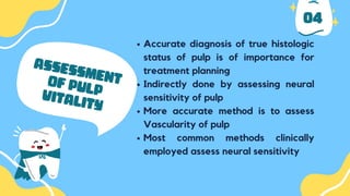 04
Accurate diagnosis of true histologic
status of pulp is of importance for
treatment planning
Indirectly done by assessing neural
sensitivity of pulp
More accurate method is to assess
Vascularity of pulp
Most common methods clinically
employed assess neural sensitivity
ASSESSMENT
OF PULP
VITALITY
 