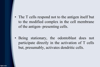 • The T cells respond not to the antigen itself but
to the modified complex in the cell membrane
of the antigen- presenting cells.
• Being stationary, the odontoblast does not
participate directly in the activation of T cells
but, presumably, activates dendritic cells.
 