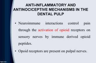 ANTI-INFLAMMATORY AND
ANTINOCICEPTIVE MECHANISMS IN THE
DENTAL PULP
• Neuroimmune interactions control pain
through the activation of opioid receptors on
sensory nerves by immune derived opioid
peptides.
• Opoid receptors are present on pulpal nerves.
 