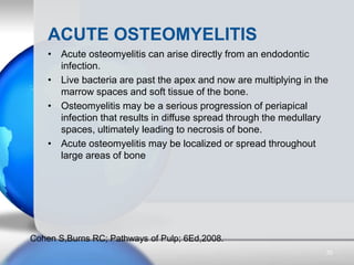 • Acute osteomyelitis can arise directly from an endodontic
infection.
• Live bacteria are past the apex and now are multi...