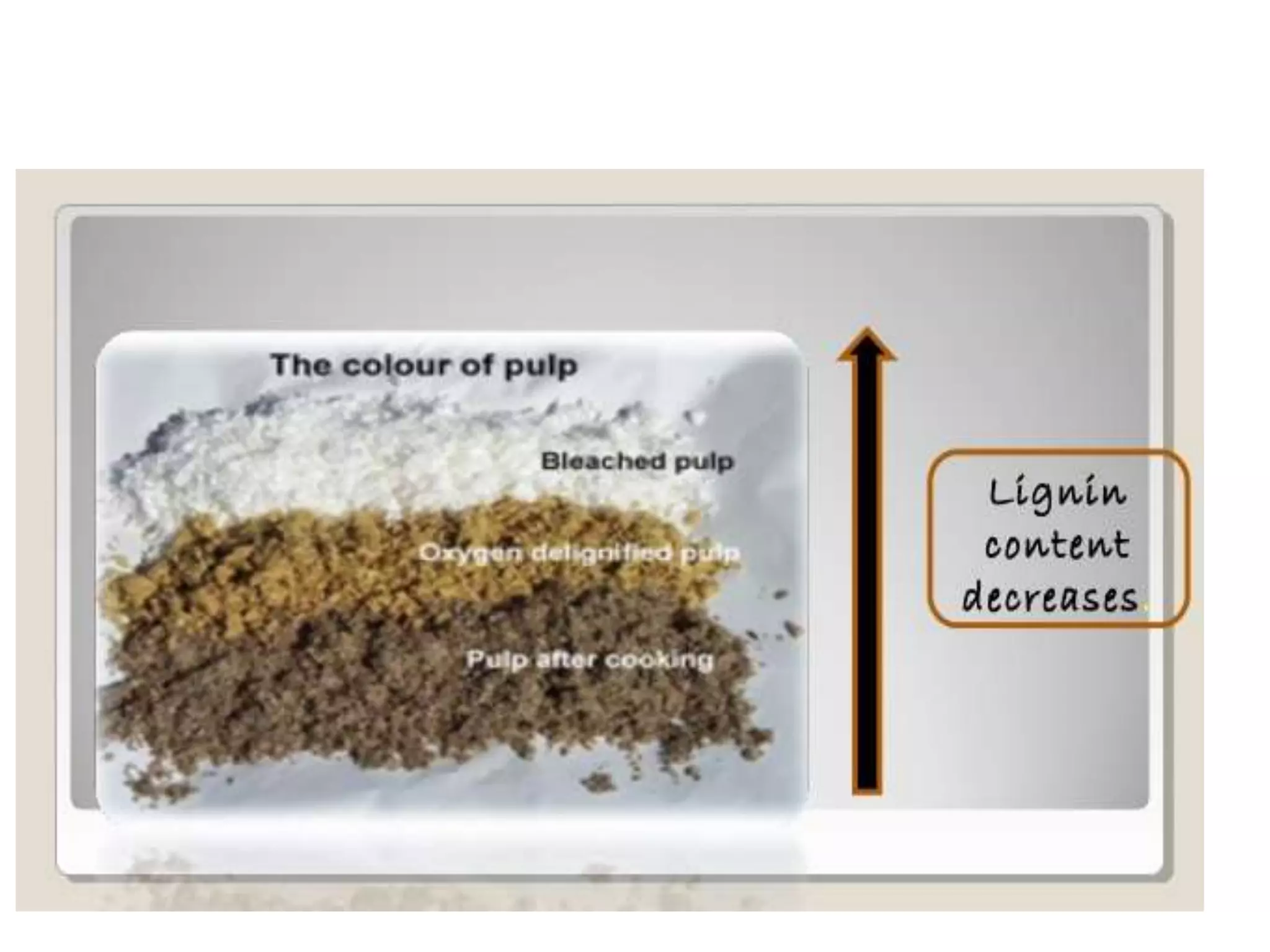 Pulp And Paper Making 2 Pptx