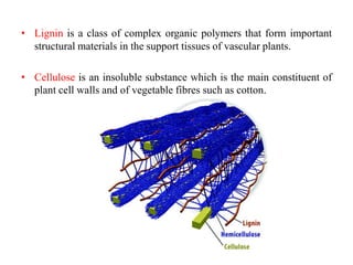 • Lignin is a class of complex organic polymers that form important
structural materials in the support tissues of vascular plants.
• Cellulose is an insoluble substance which is the main constituent of
plant cell walls and of vegetable fibres such as cotton.
 