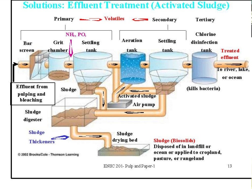 Pulp and paper mill waste