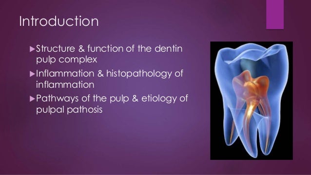 Pulp And Periapical Disease