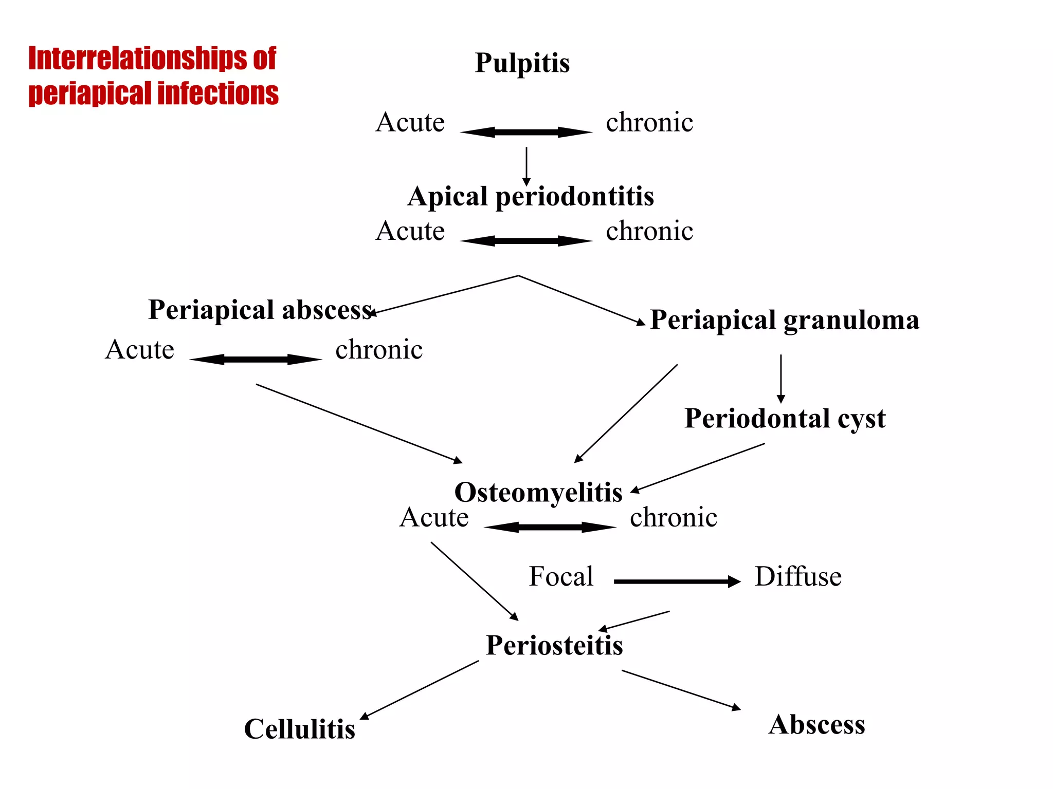 Pulpitis Priapical PULP AND PERIAPICAL LESIONS OF THE TOOTH ppt | PPTX