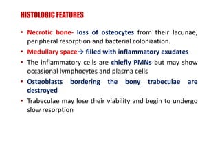 CHRONIC SUPPURATIVE OSTEOMYELITIS
Inadequately treated acute osteomyelitis
Rarely- complication of irradiation
Acute ex...