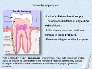Whyis the pulp unique ?
6
• Lack of collateral blood supply.
• The anatomic limitation of unyielding
walls of dentin.
• In...
