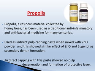  Propolis, a resinous material collected by
honey bees, has been used as a traditional anti-infalmmatory
and anti-bacterial medicine for many centuries.
 Used as indirect pulp capping paste when mixed with ZnO
powder and this showed similar effect of ZnO and Eugenol as
secondary dentin formation.
 In direct capping with this paste showed no pulp
. degeneration and formation of protective layer.
 